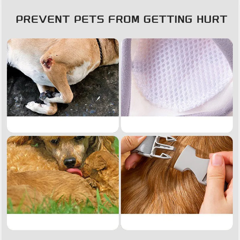 Dog wearing blue knee protector with extra-thick elbow padding and matching scarf