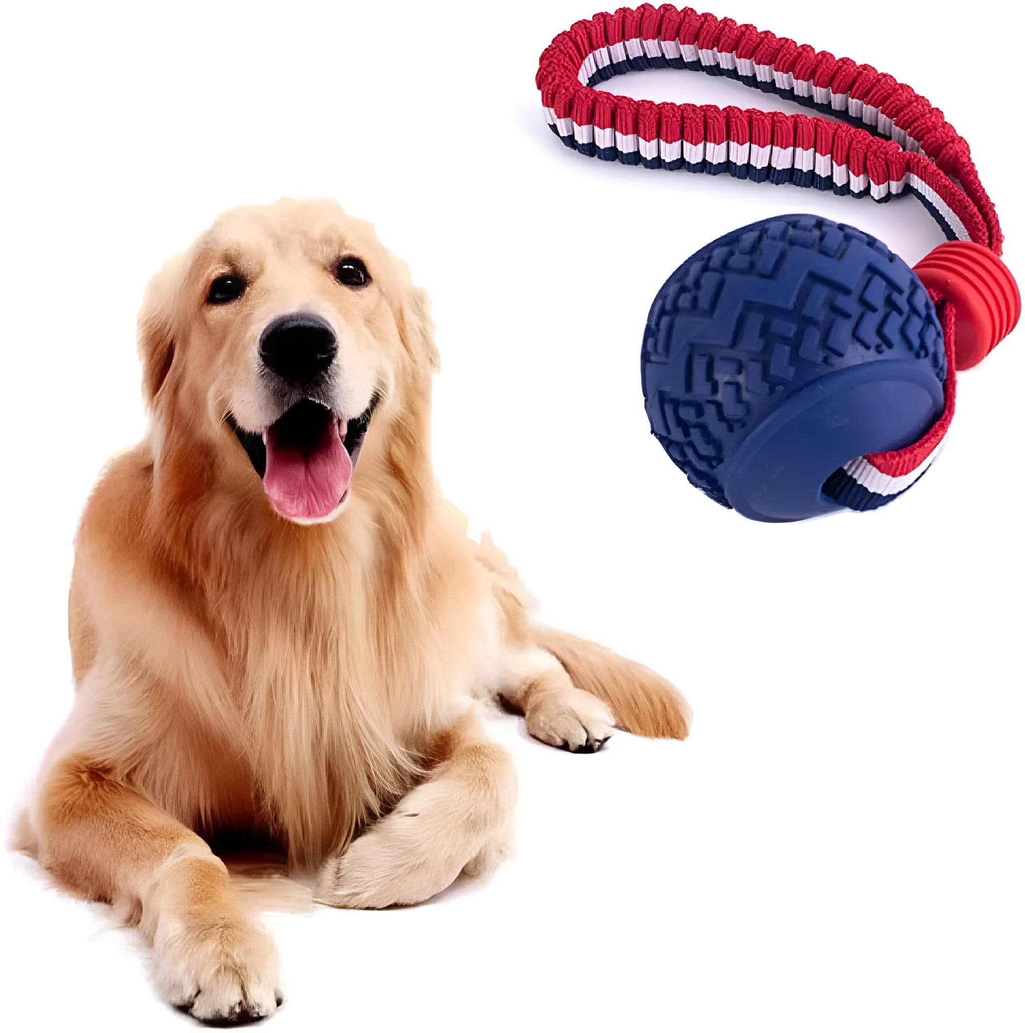 Blue dog toy with a textured rubber ball attached to a rope, shown on a white background.