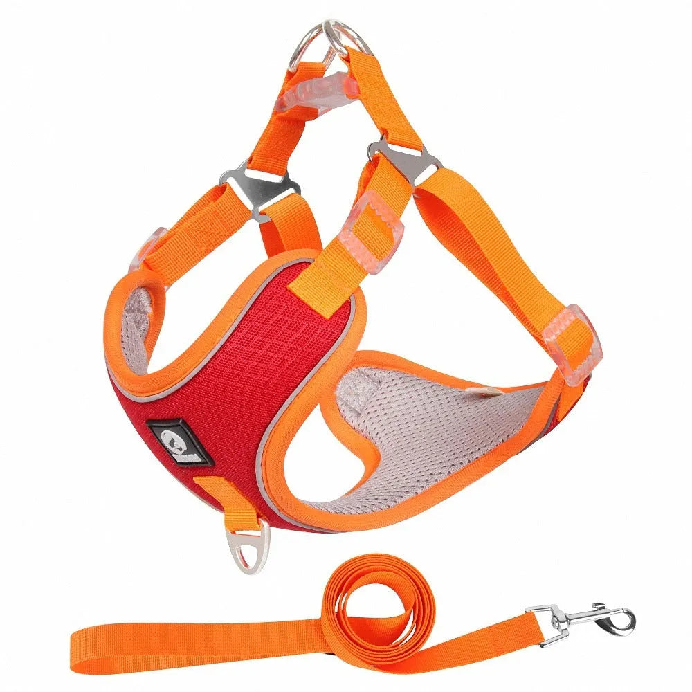 Adjustable mesh dog harness with reflective piping on a small dog, shown in light purple colour
