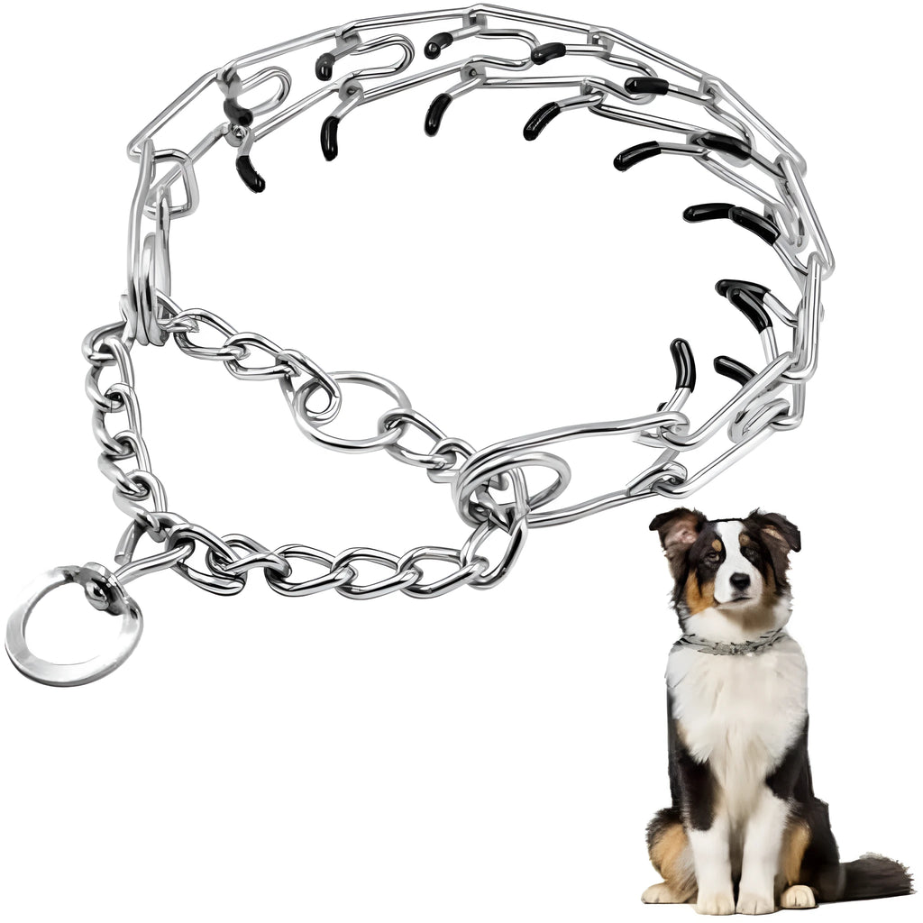 Stainless steel dog training pinch collar with adjustable links and black rubber tips on the prongs.