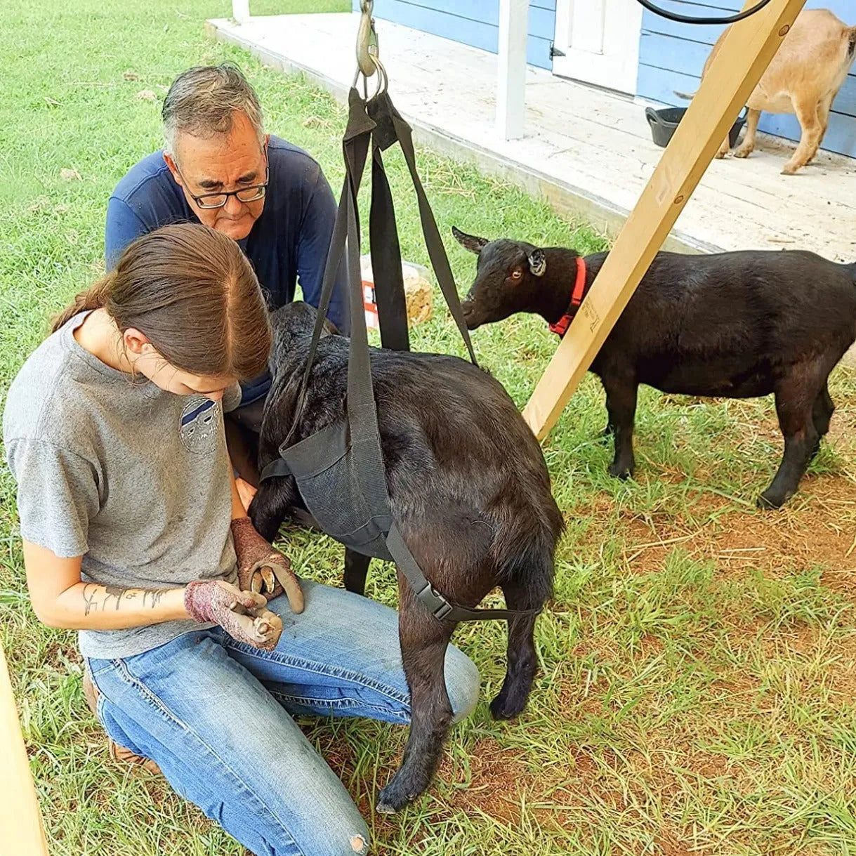 Black nylon calf and large dog weighing sling with adjustable handles laid flat, showing its 150cm length.