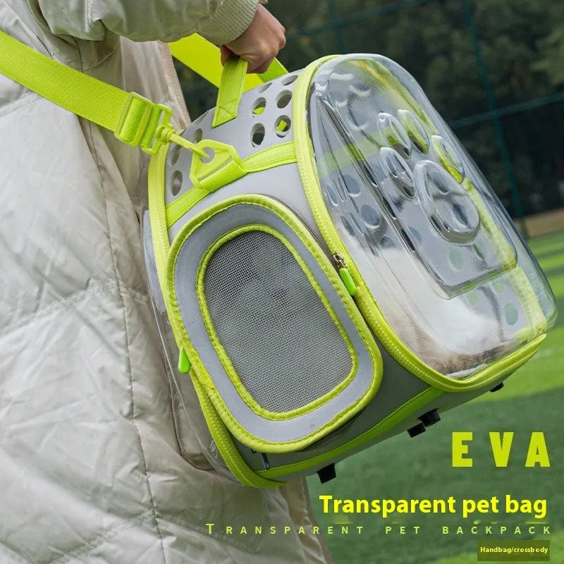Hard EVA transparent cat backpack space capsule carrier in grass green colour showing 42x28x35cm dimensions