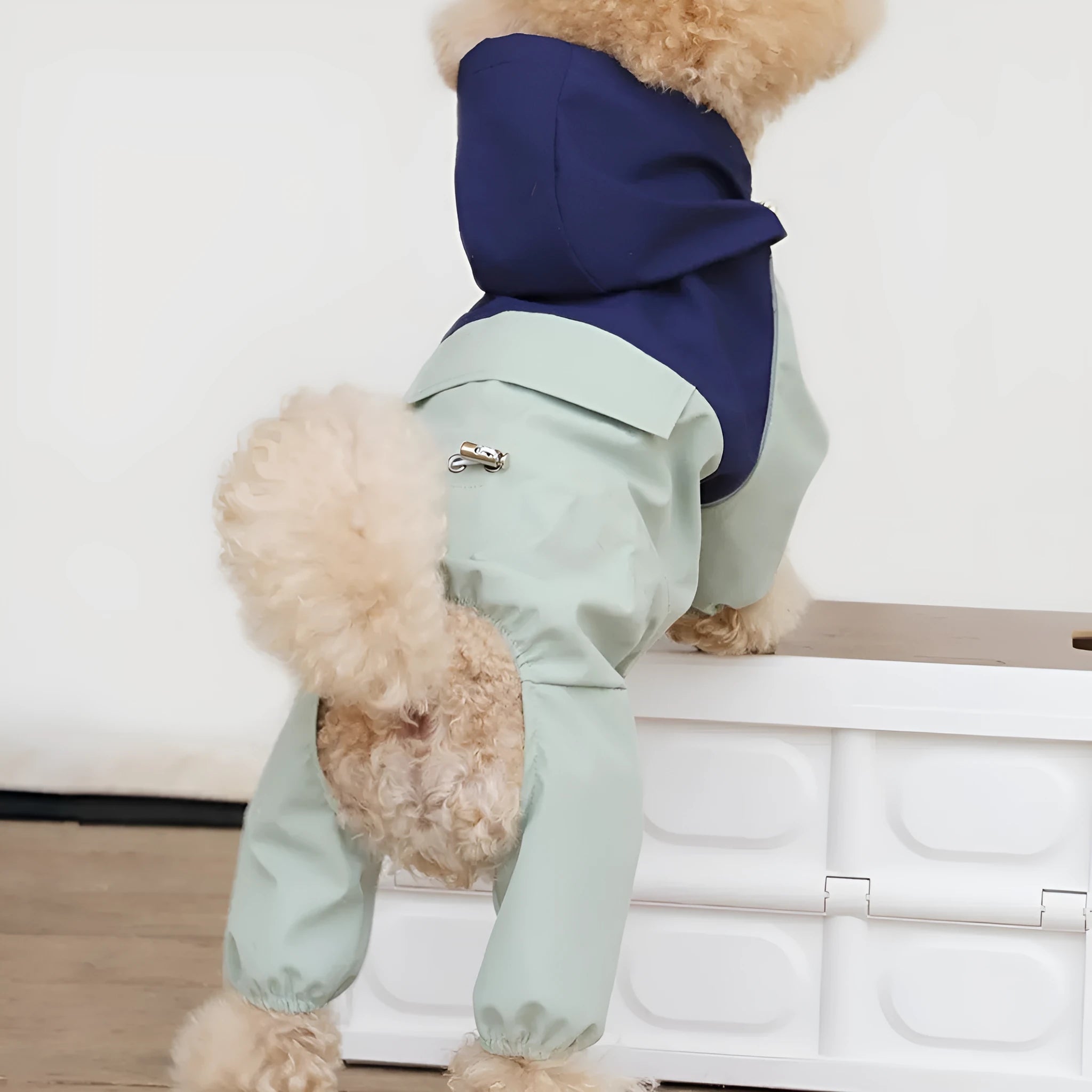 British style waterproof dustproof dog jacket in polyester available in multiple sizes and colours