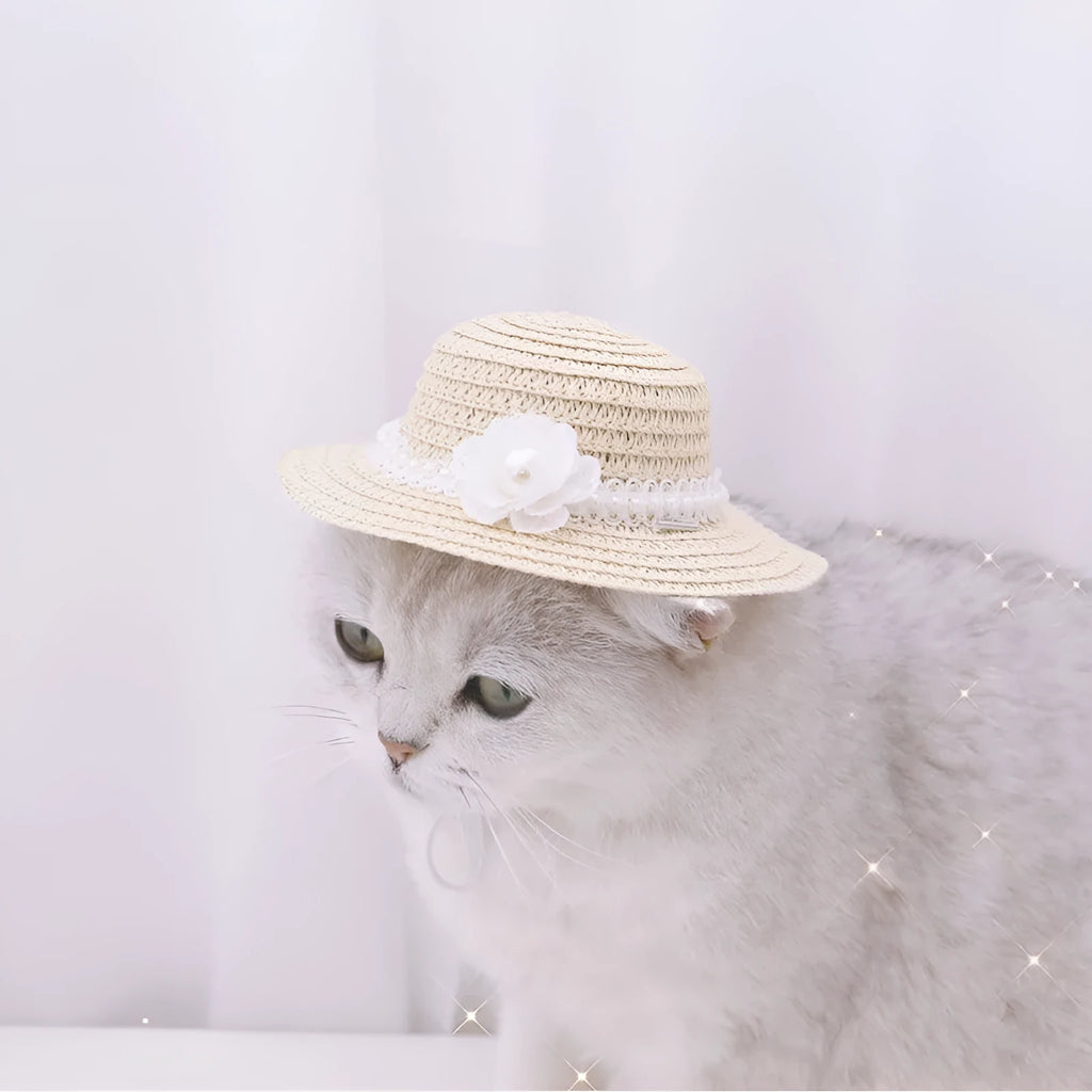 Handmade adjustable bowknot pet hat for dogs and cats in paper material with cartoon design