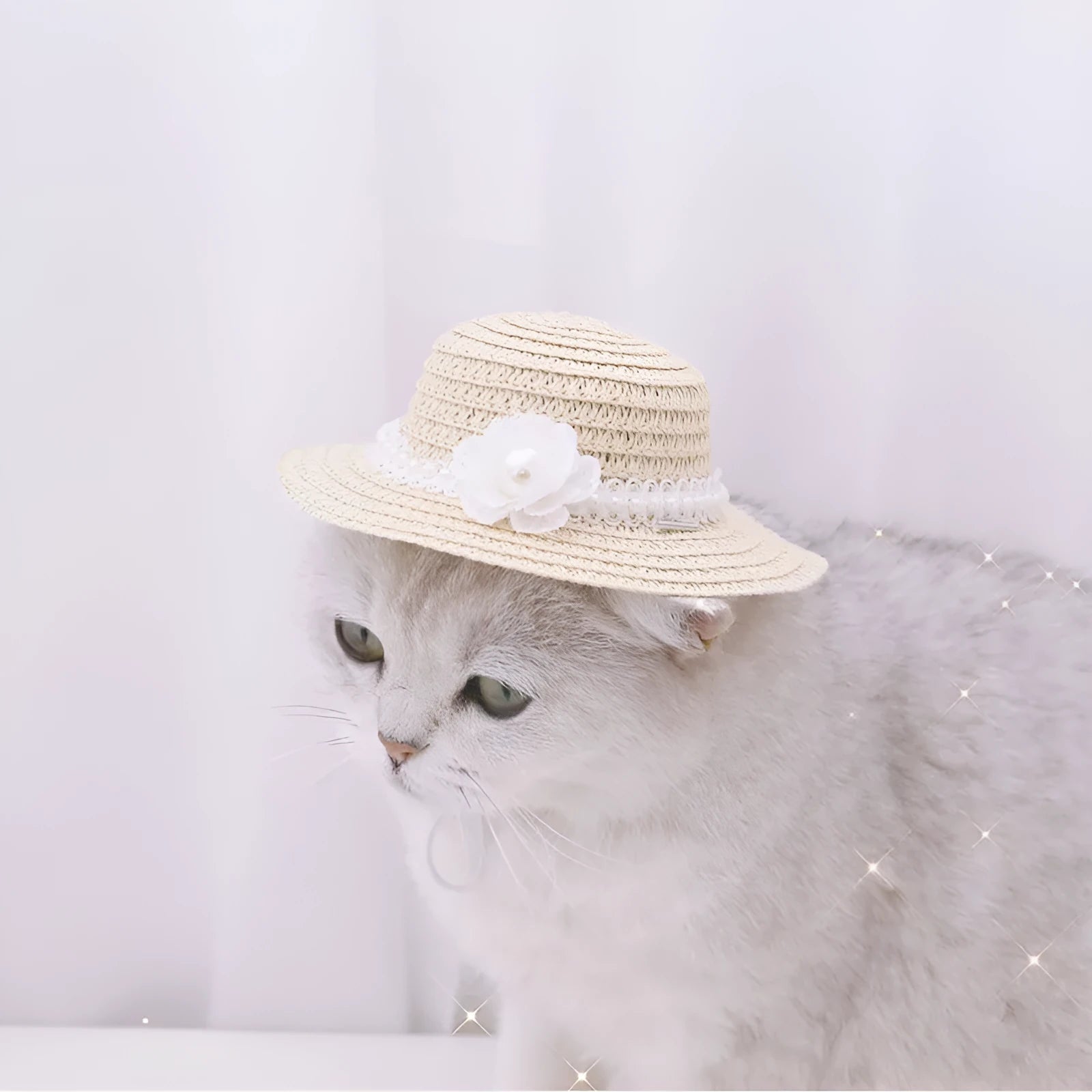 Handmade adjustable bowknot pet hat for dogs and cats in paper material with cartoon design