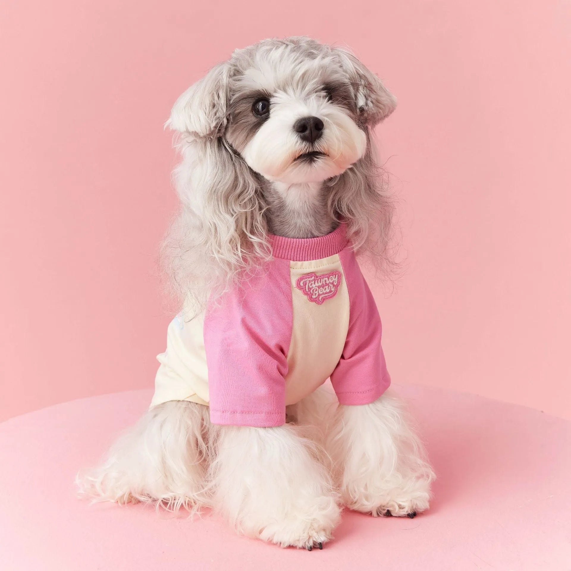 Cotton dog summer shirt with embroidery in red or pink, showing size range XS to XXL