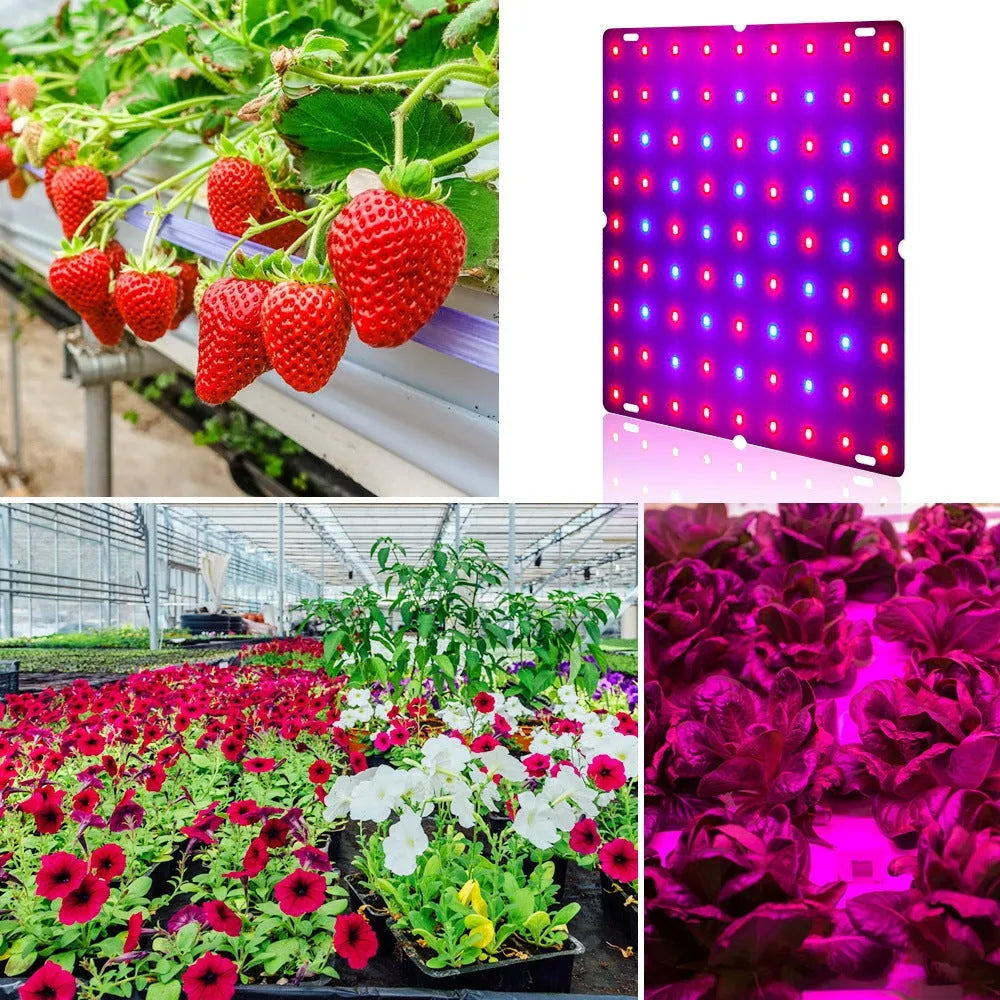 Aluminium LED plant growth light with hanging hook for fruits and vegetables.