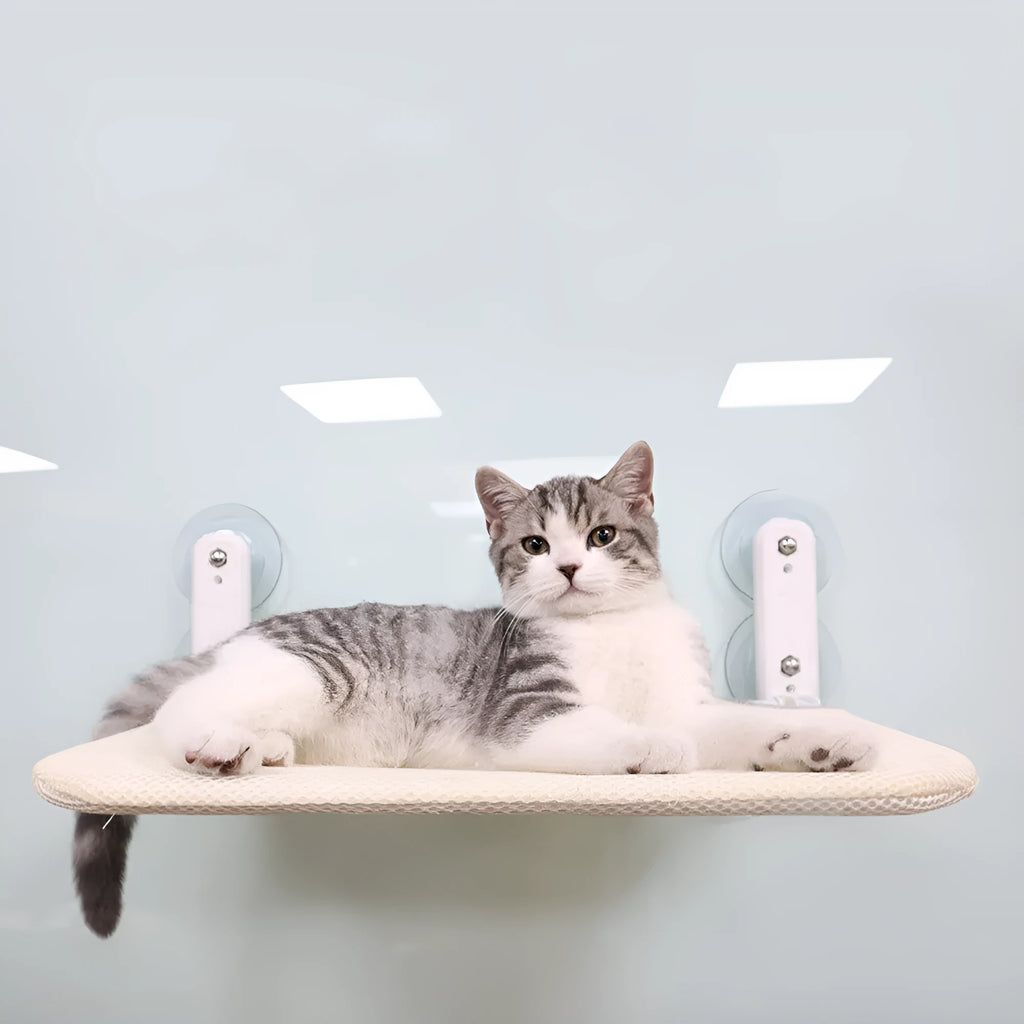 Foldable grey mesh cat hammock with suction cups mounted on a window