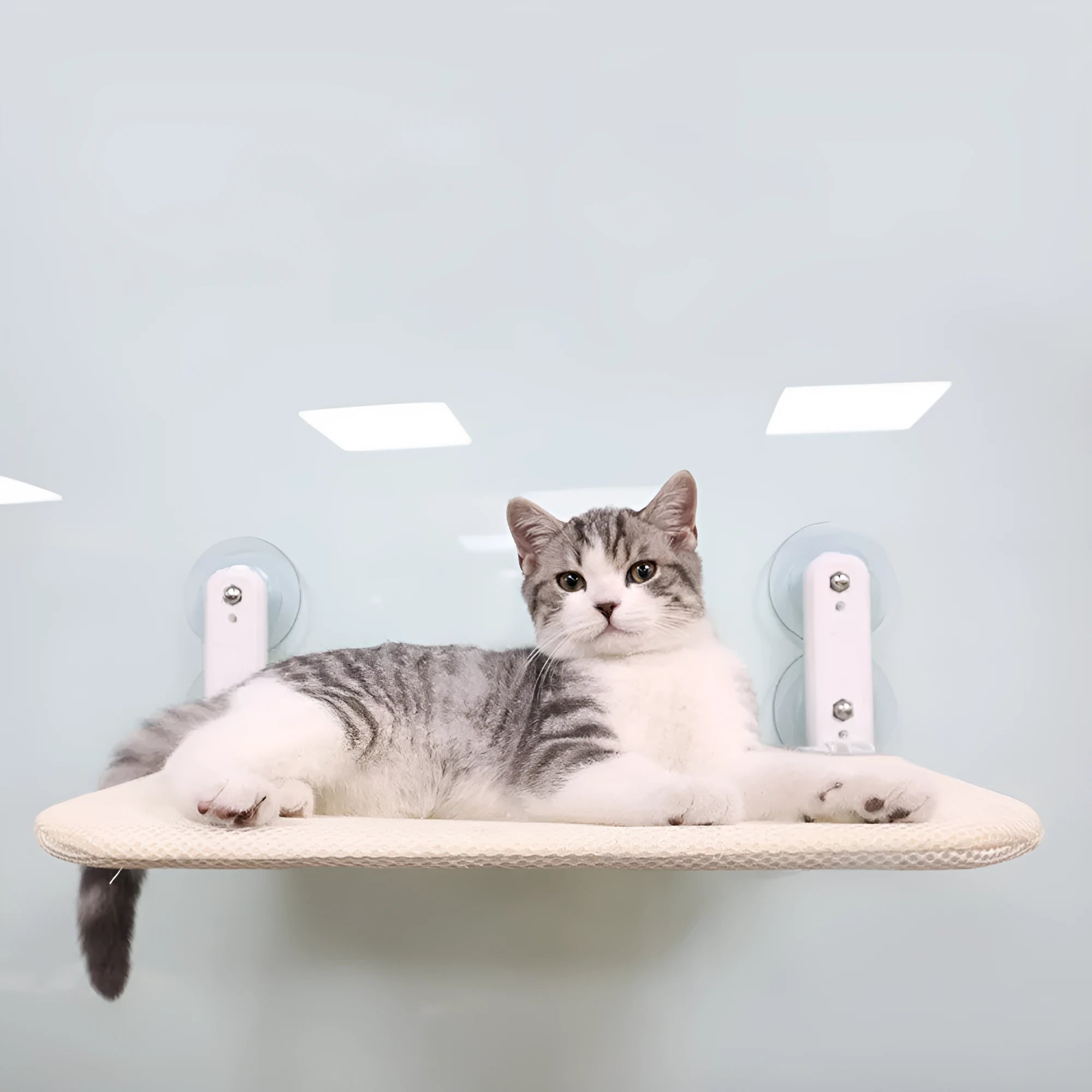 Foldable grey mesh cat hammock with suction cups mounted on a window