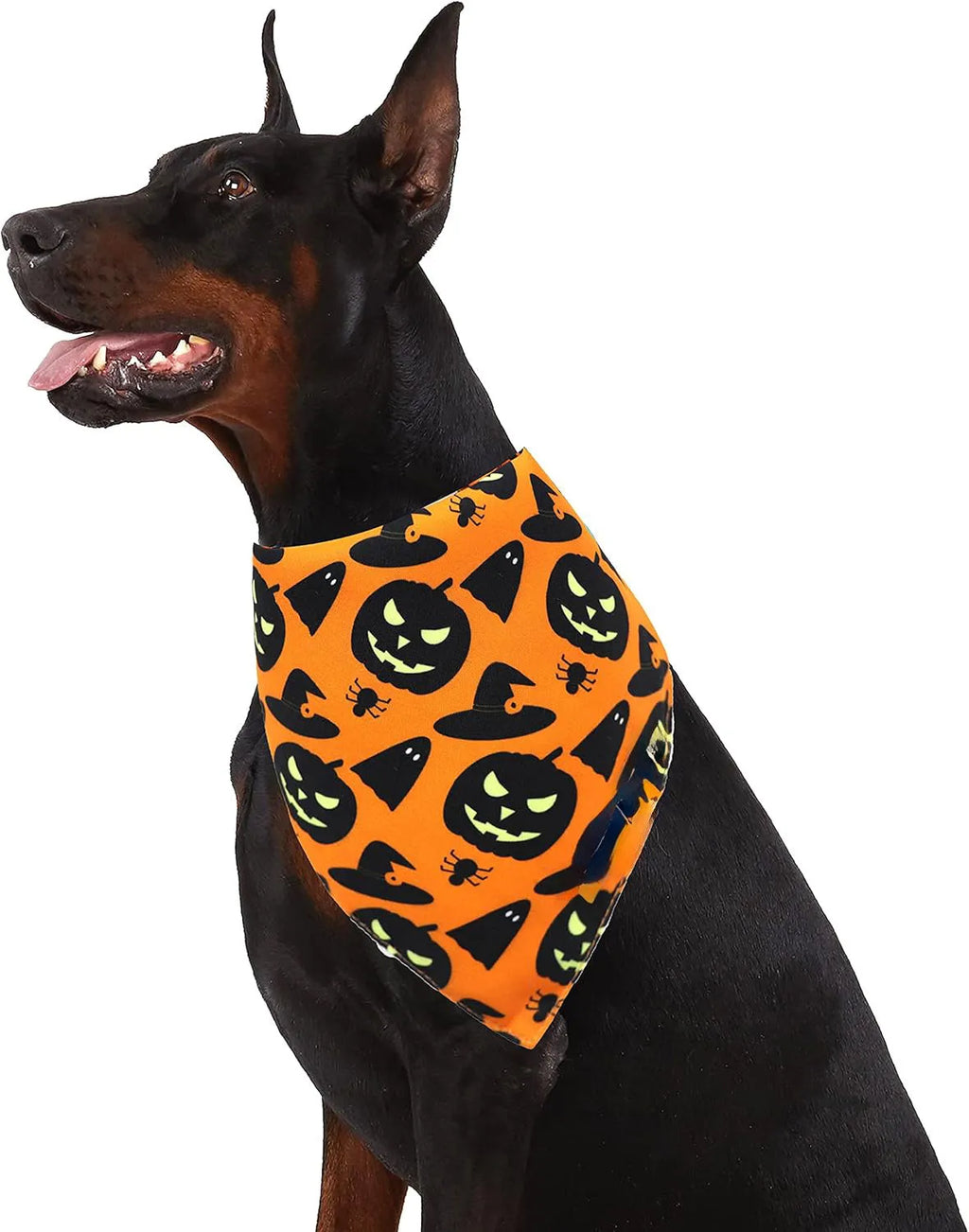 Reversible Halloween dog bandana with pumpkin and spider web patterns in black and orange, 65 x 45 x 45 cm