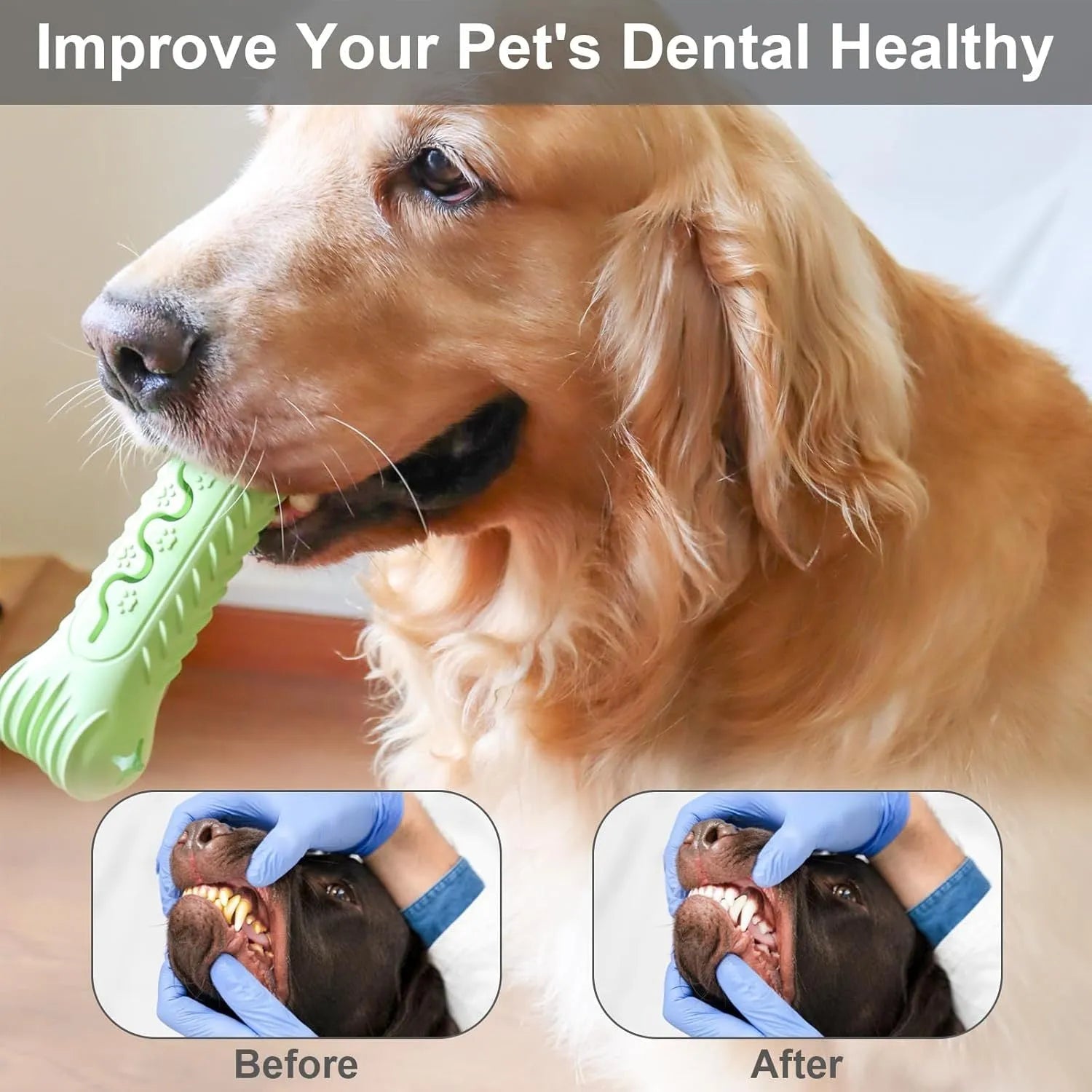 Natural rubber bone-shaped dog chew toy in blue, green, or orange for aggressive chewers and teeth cleaning