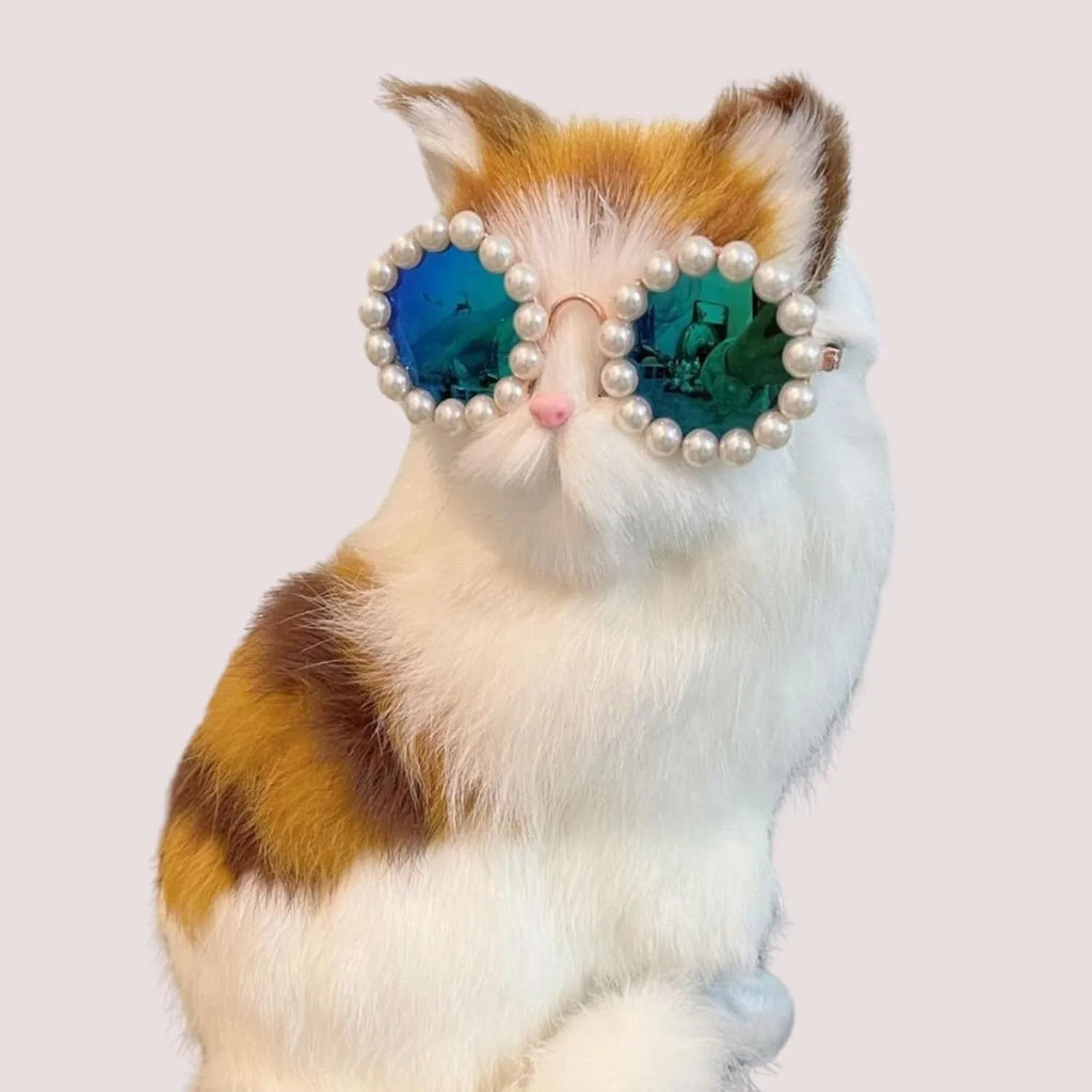 Cat and dog pearl rimmed round sunglasses in five colours black blue coffee orange purple with two sizes 8cm and 11cm