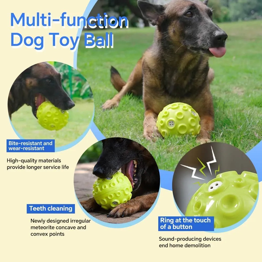 Colourful rubber dog chew ball with textured surface and squeaky sound mechanism
