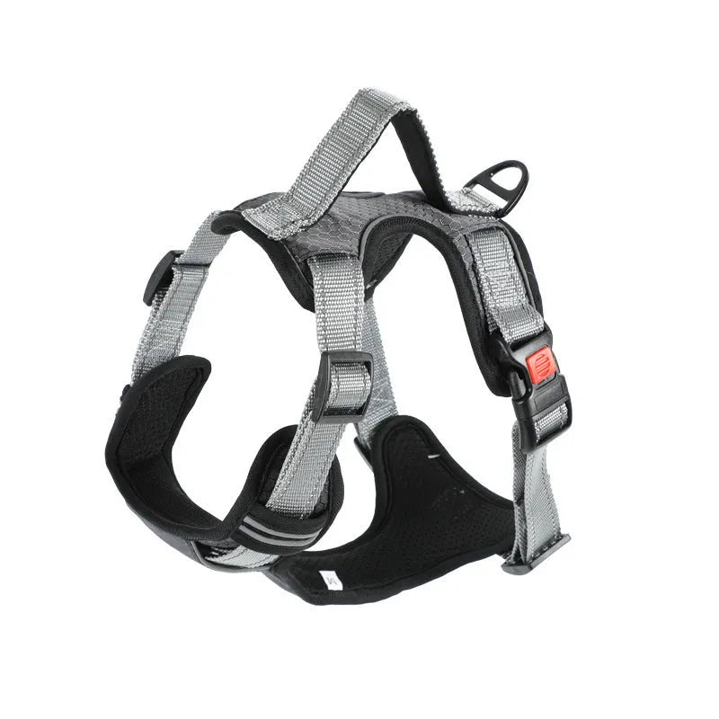 Dog hand holding rope vest chest strap in polyester with colour options and sizes L M XL