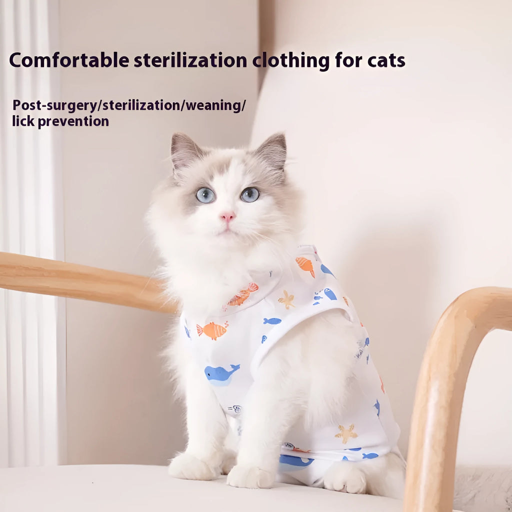 Cat wearing a post-operative sterilisation recovery suit with Velcro fastenings on its side.