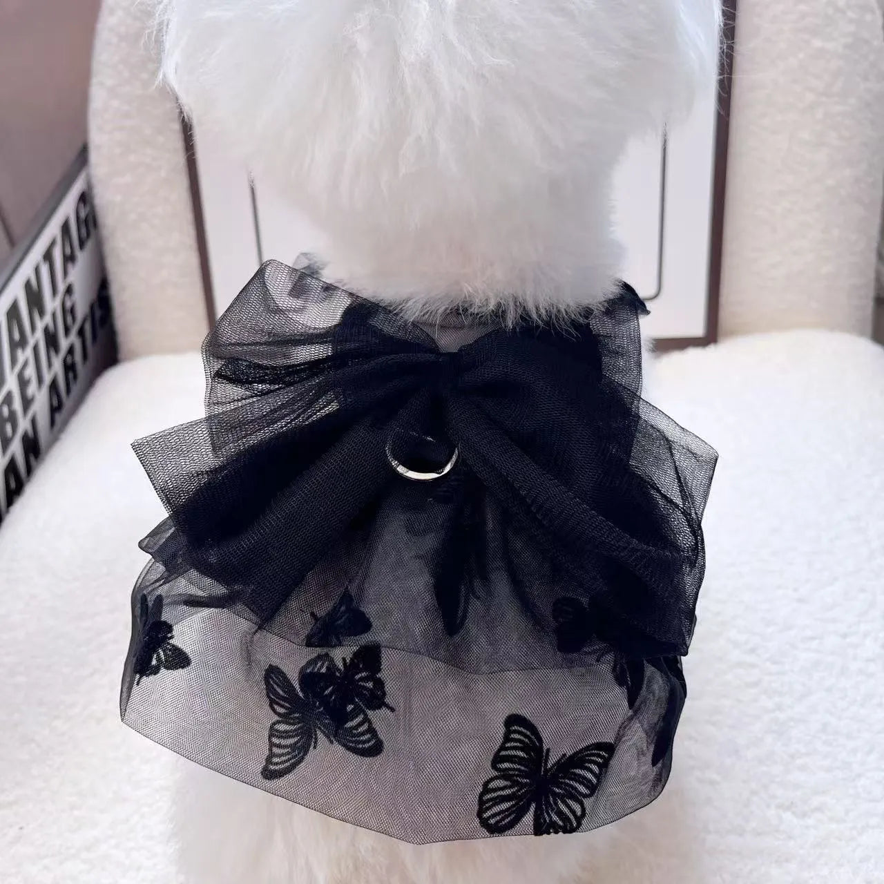 Black tulle princess skirt costume on small dog, showing tiered gauze design and adjustable fit.
