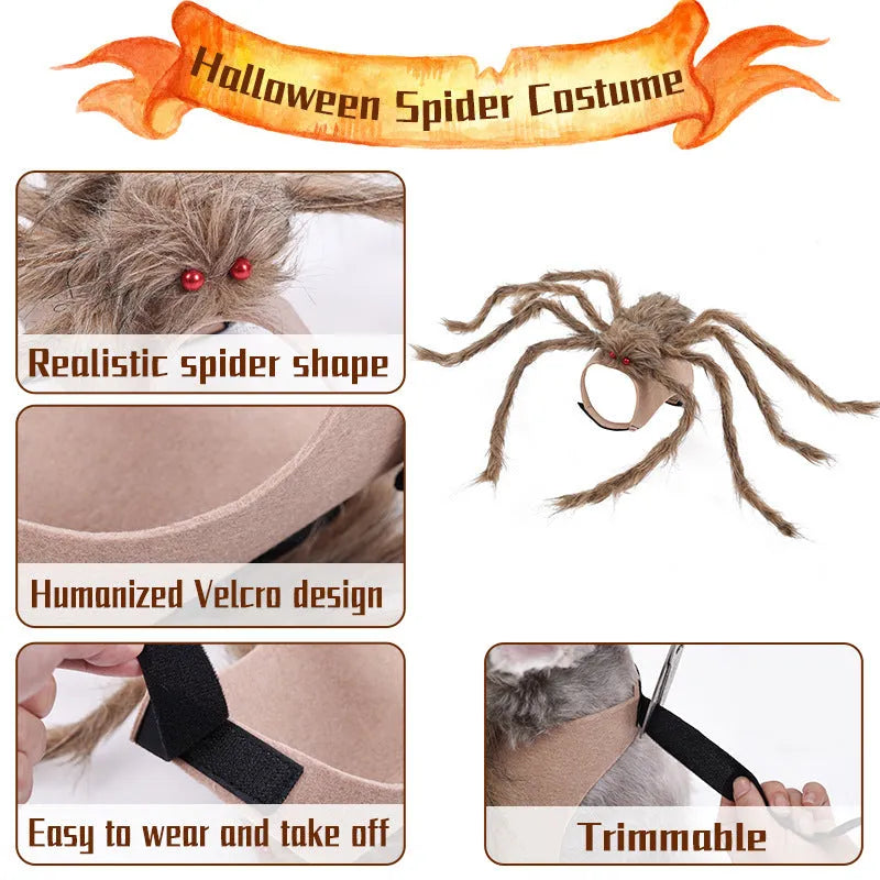 Halloween pet costume shaped like a big spider with eight legs, shown in grey colour.