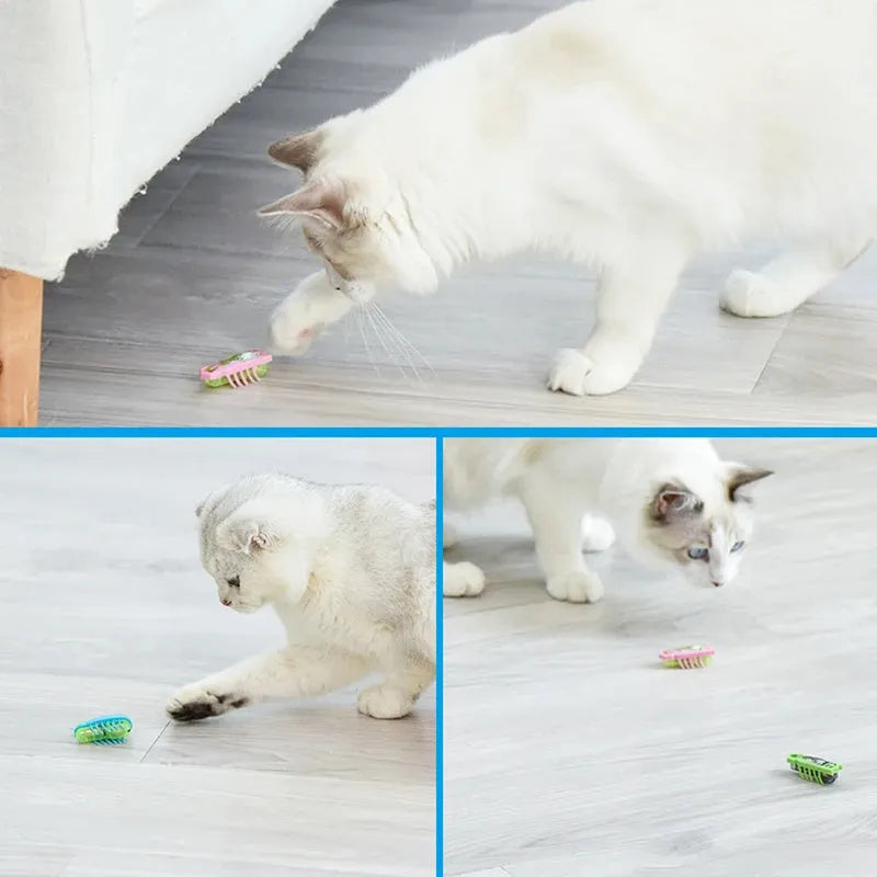 Mini electric bug toy for cats, ladybird style, crawling on a floor with green colour and PVC body
