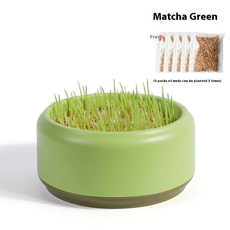 Blue hydroponic cat grass growing kit with seeds for indoor feline enrichment