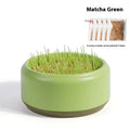Blue hydroponic cat grass growing kit with seeds for indoor feline enrichment