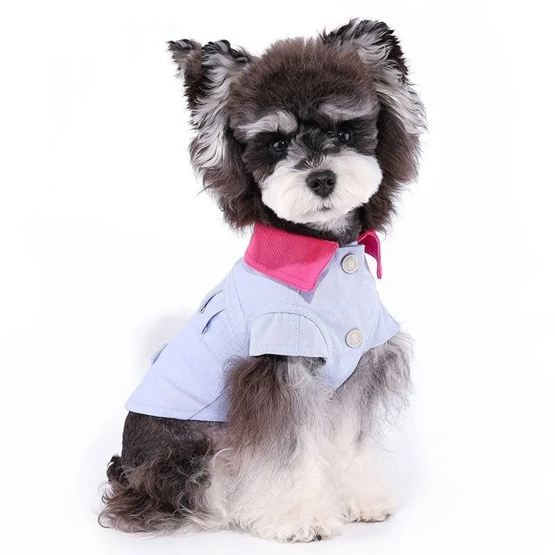 Blue and purple polyester mesh dog vest with integrated rope ring for small dogs