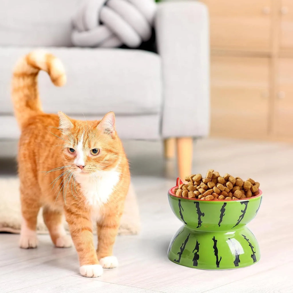 Ceramic raised cat bowl in orange colour with tilted design and patterned detail on a non-slip base
