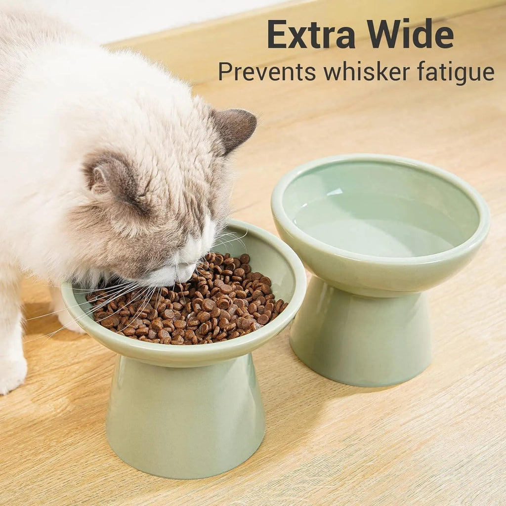 Elevated ceramic cat bowl in blue with wide 16cm diameter shallow design