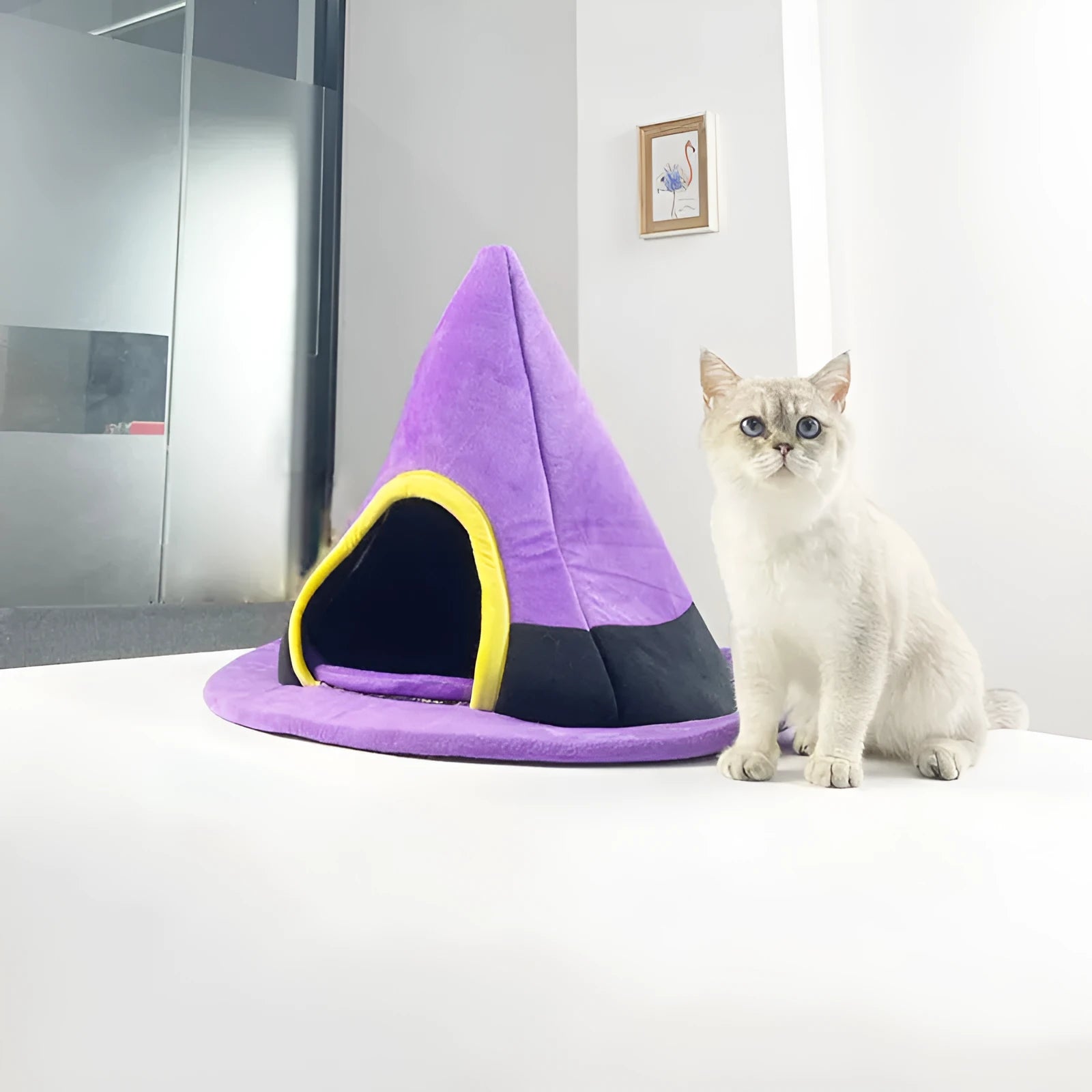 Purple witch hat shaped cat bed for Halloween, dimensions 60cm by 45cm.