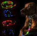 Luminous dog leash in fluorescent green with hand-holding lead and PVC rope construction on white background