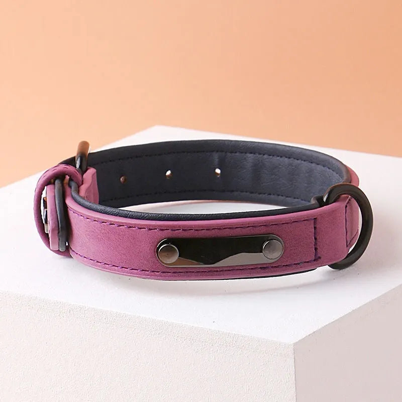 Simple and portable adjustable dog collar in purple with double-layer thickening and anti loss design