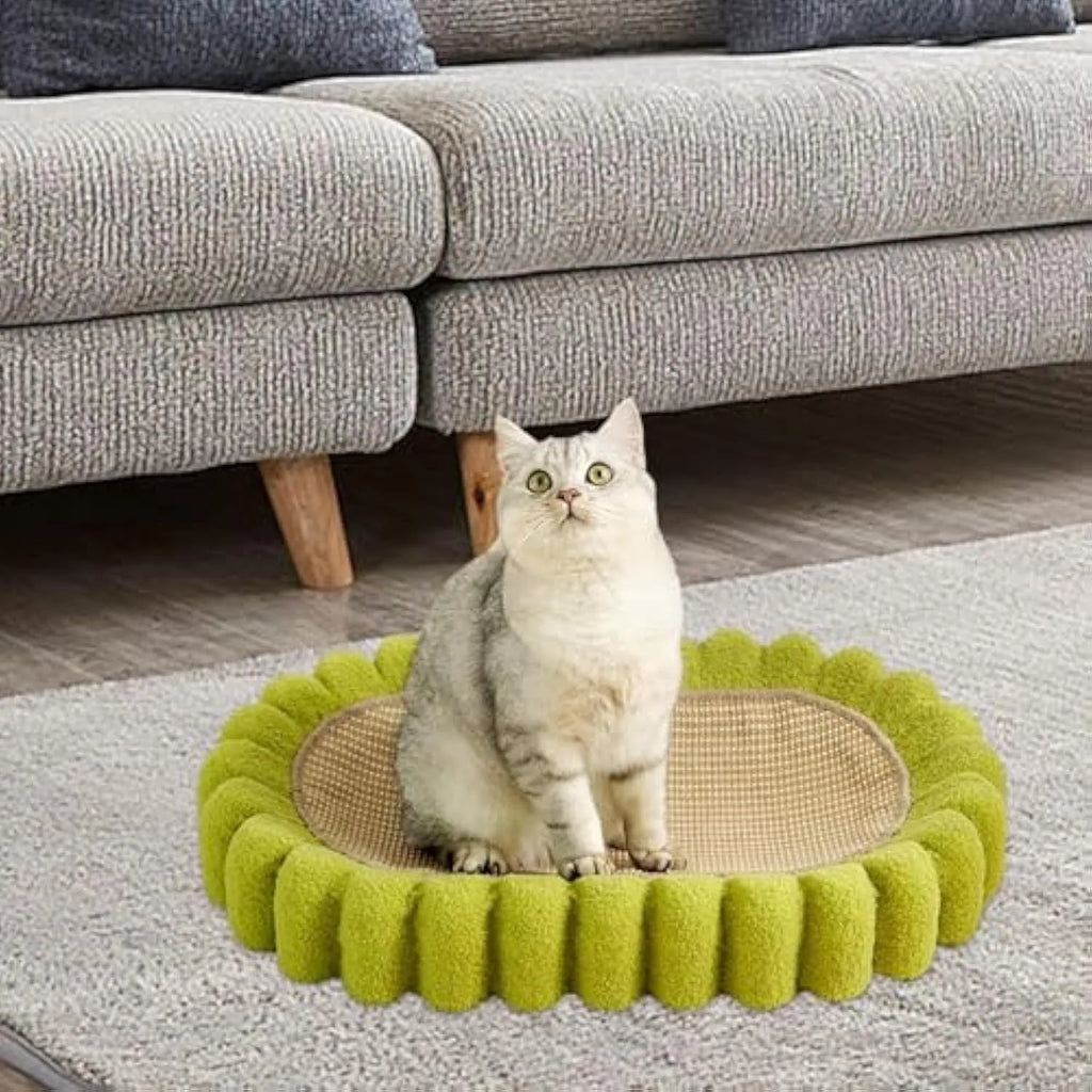 Green oval cat scratch pad and bed made from sisal measuring 650x420x100mm