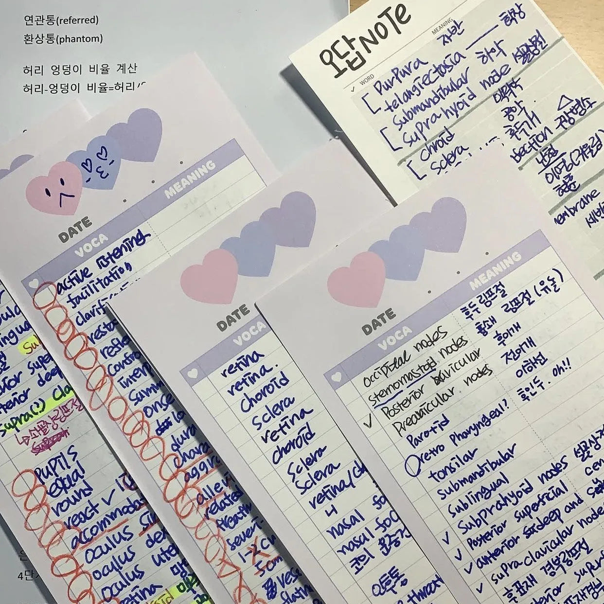 B5 half-size vertical notepad for English words in blue, pink, or purple cover.