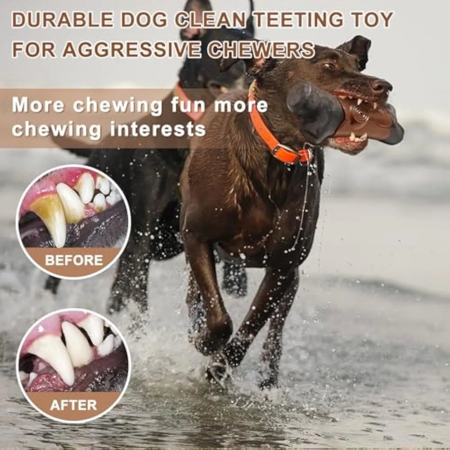 Large branch-shaped nylon dog chew toy for aggressive chewers, bacon-flavoured with a squeaker inside.