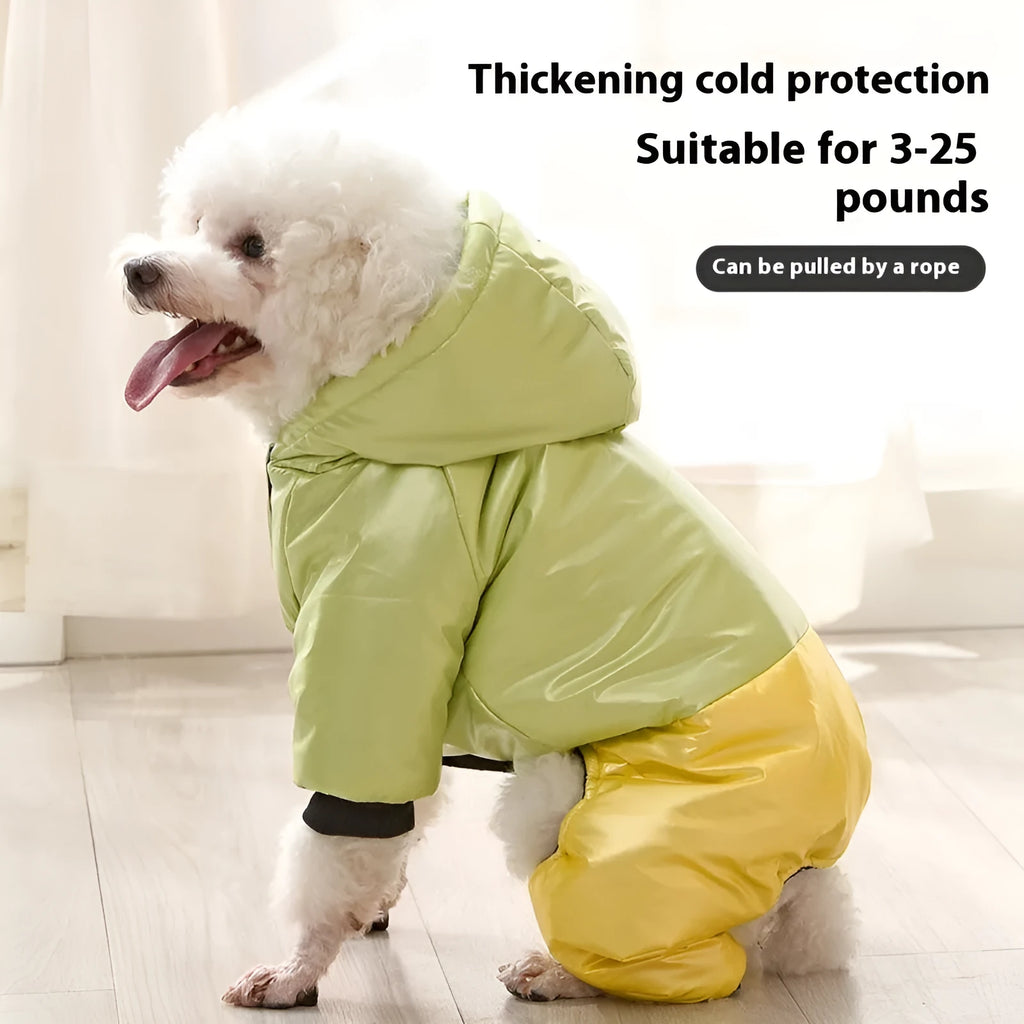 Green waterproof cotton-padded dog coat on a model dog, showing casual style and sizing.