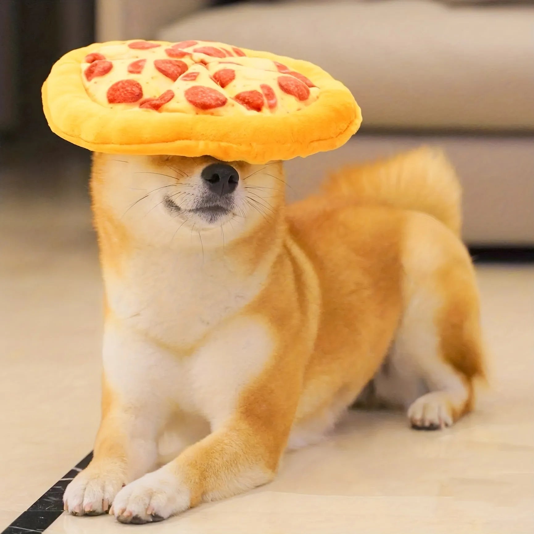 Yellow pizza design dog chewing toy with pepperoni and cheese details, 4 inches diameter