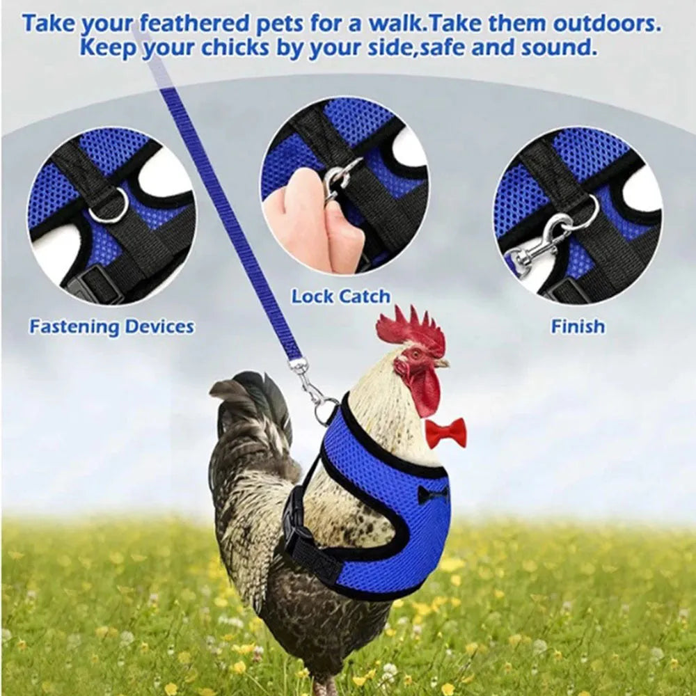 Adjustable poultry vest harness with matching collar and bow for ducks and chickens in multiple sizes and colours