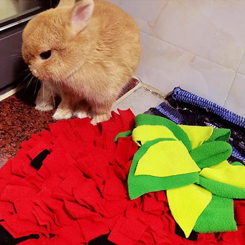 Red and green strawberry-shaped pet sniffing mat for dogs and cats on a wooden floor