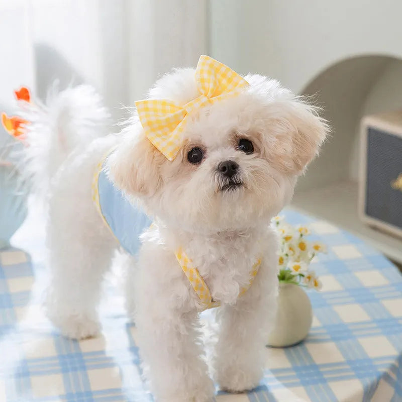 Small dog wearing elastic vest with bow suspenders and heart texture