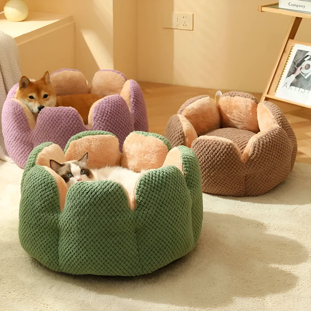 Green cactus petal shaped soft plush pet bed with cave-like opening and non-slip bottom, size L for pets up to 7.5kg