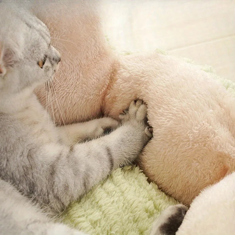 Soft green cactus-shaped cat litter kennel for dogs and cats on a floor.