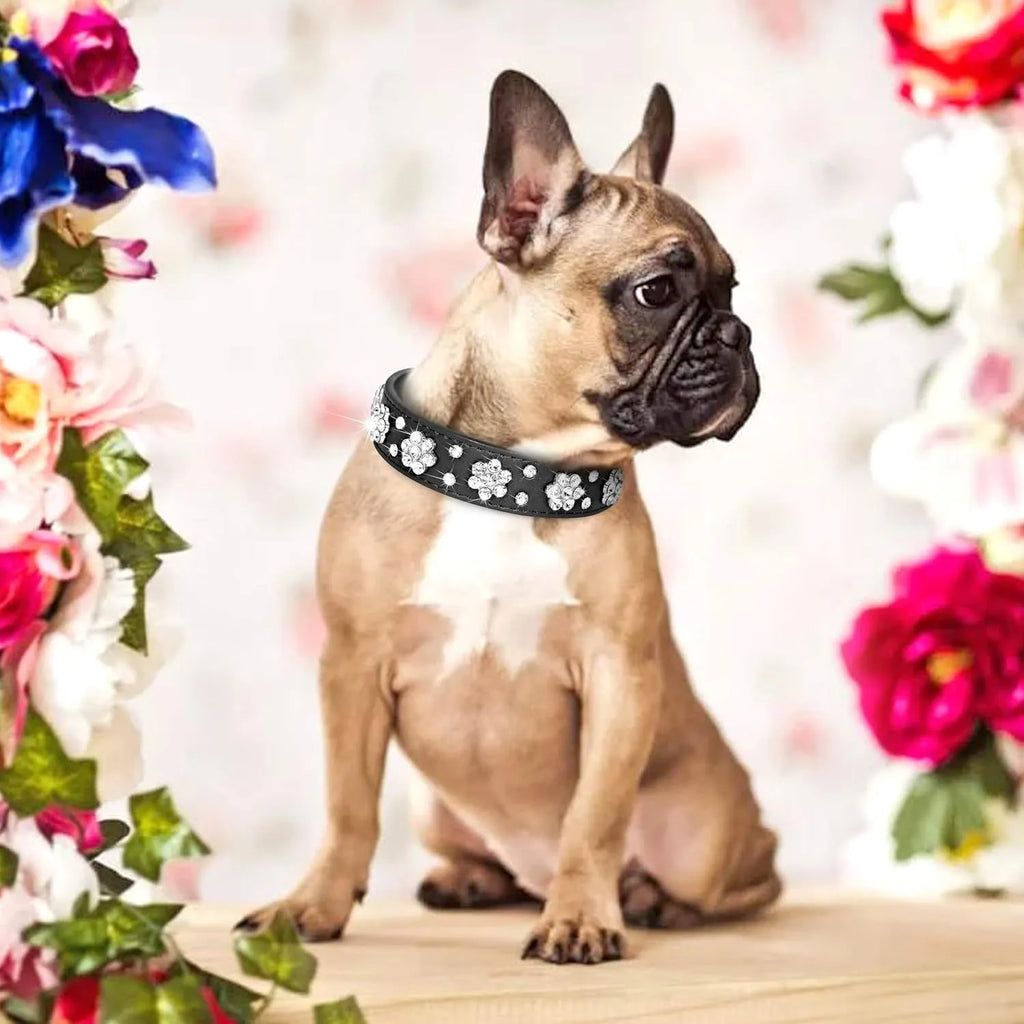 Soft black PU leather dog collar with a sparkling rhinestone flower pattern and metal studs