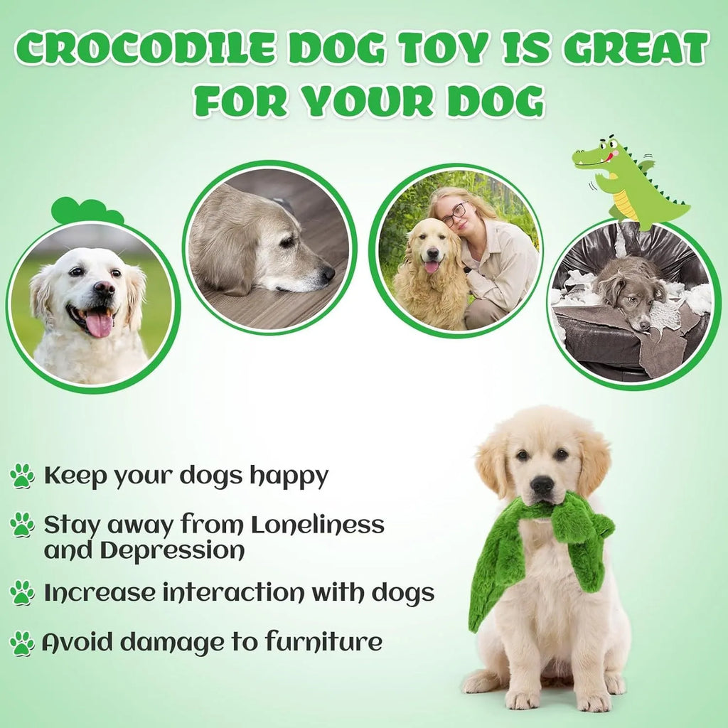 Green plush crocodile dog toy with no-stuffing construction and squeaker features