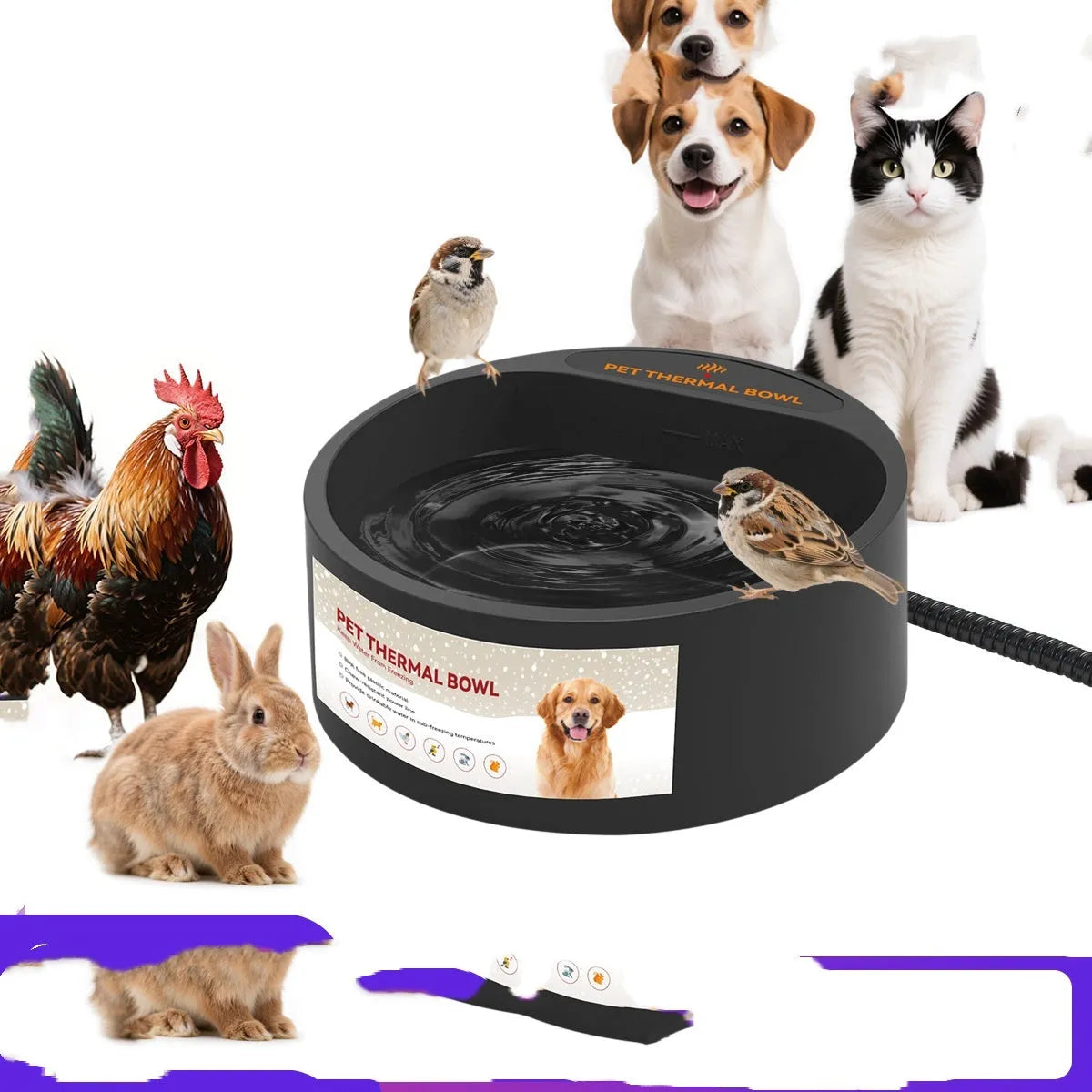 Black ABS pet heating bowl with constant temperature control for cats and dogs