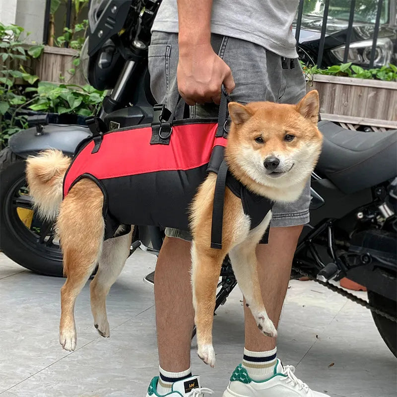 Multifunctional Oxford cloth pet backpack in solid colour with airborne walking stretcher design for outdoor use
