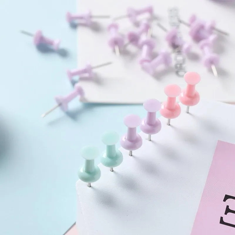 Boxed set of macaron colour plastic push pins in cherry blossom powder, mint green, and lavender, including small and large sizes