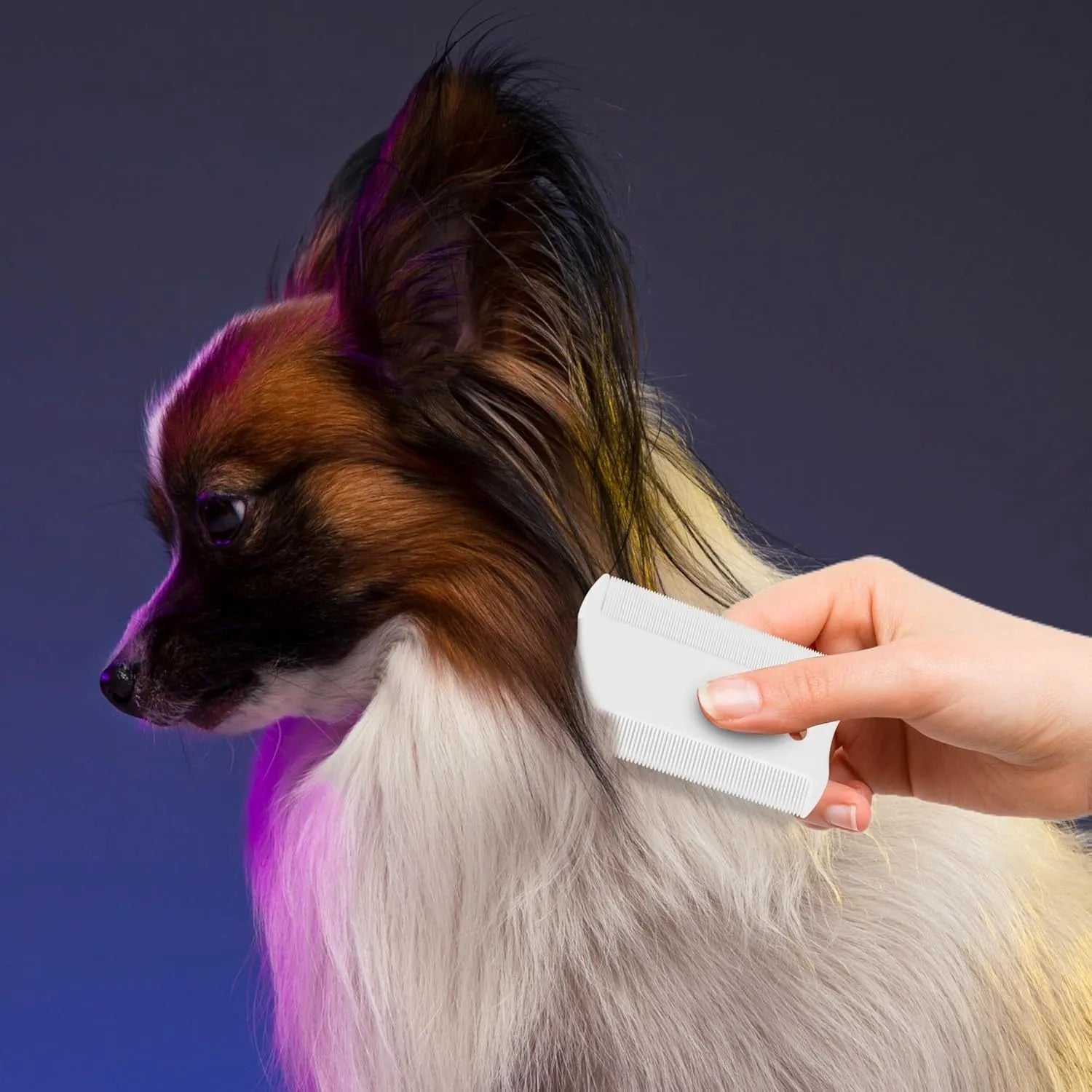 Double-sided plastic flea comb for pets with fine teeth for face grooming and tear stain removal