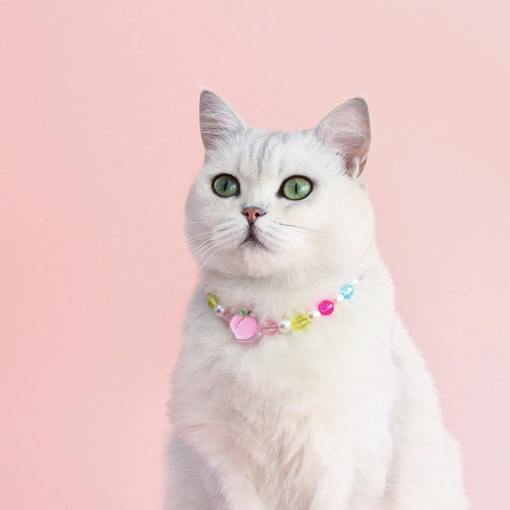 Colourful plastic bead pet necklace with adjustable sizing for cats and dogs